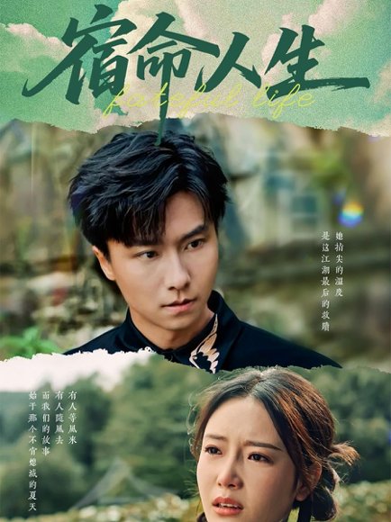 宿命人生（60集）刘思蝶衣 高清完整版