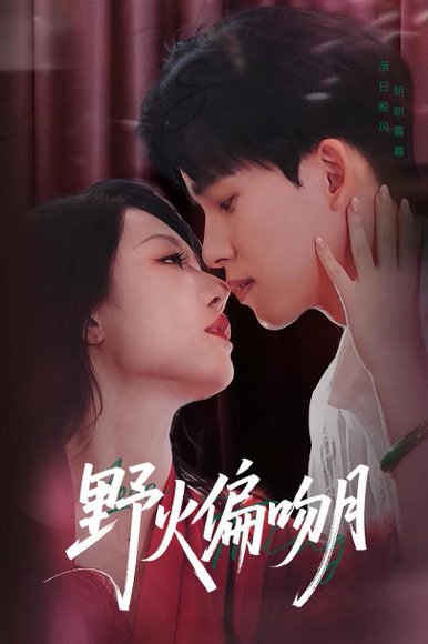 野火偏吻月（51集）钟莹玲&岳杨 高清完整版