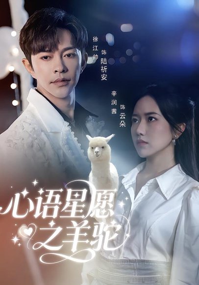 心语星愿之羊驼（60集）徐江帅＆辛润茜 高清完整版